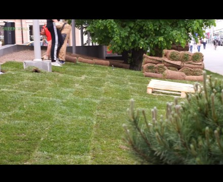 Укладка рулонного газона по правилам (видео)