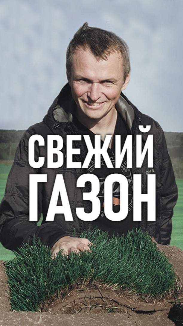 Рулонный газон с доставкой в Москве – как выбрать газон?