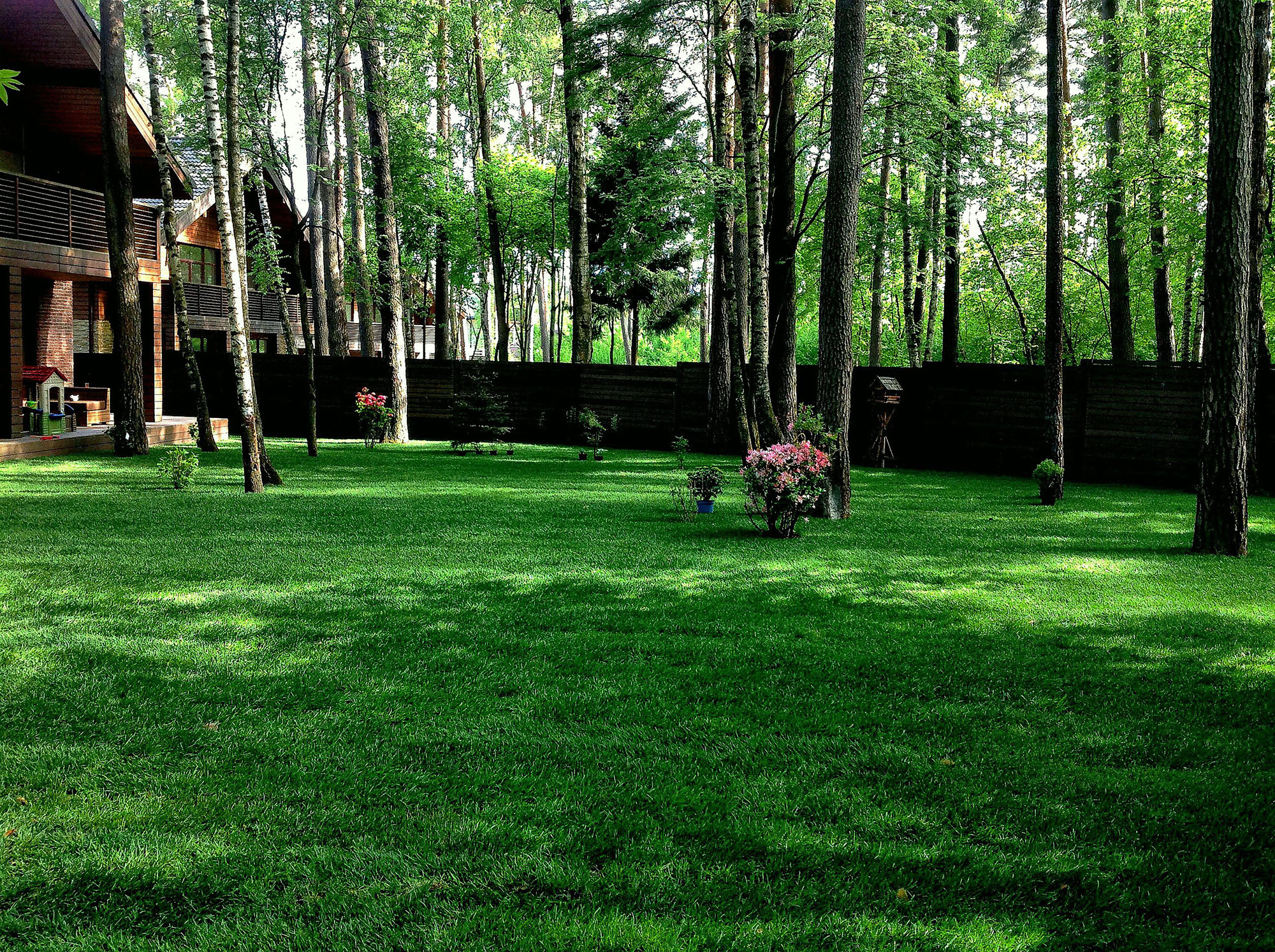 Газонная трава в рулонах – быстрый и надёжный способ украсить свой двор!