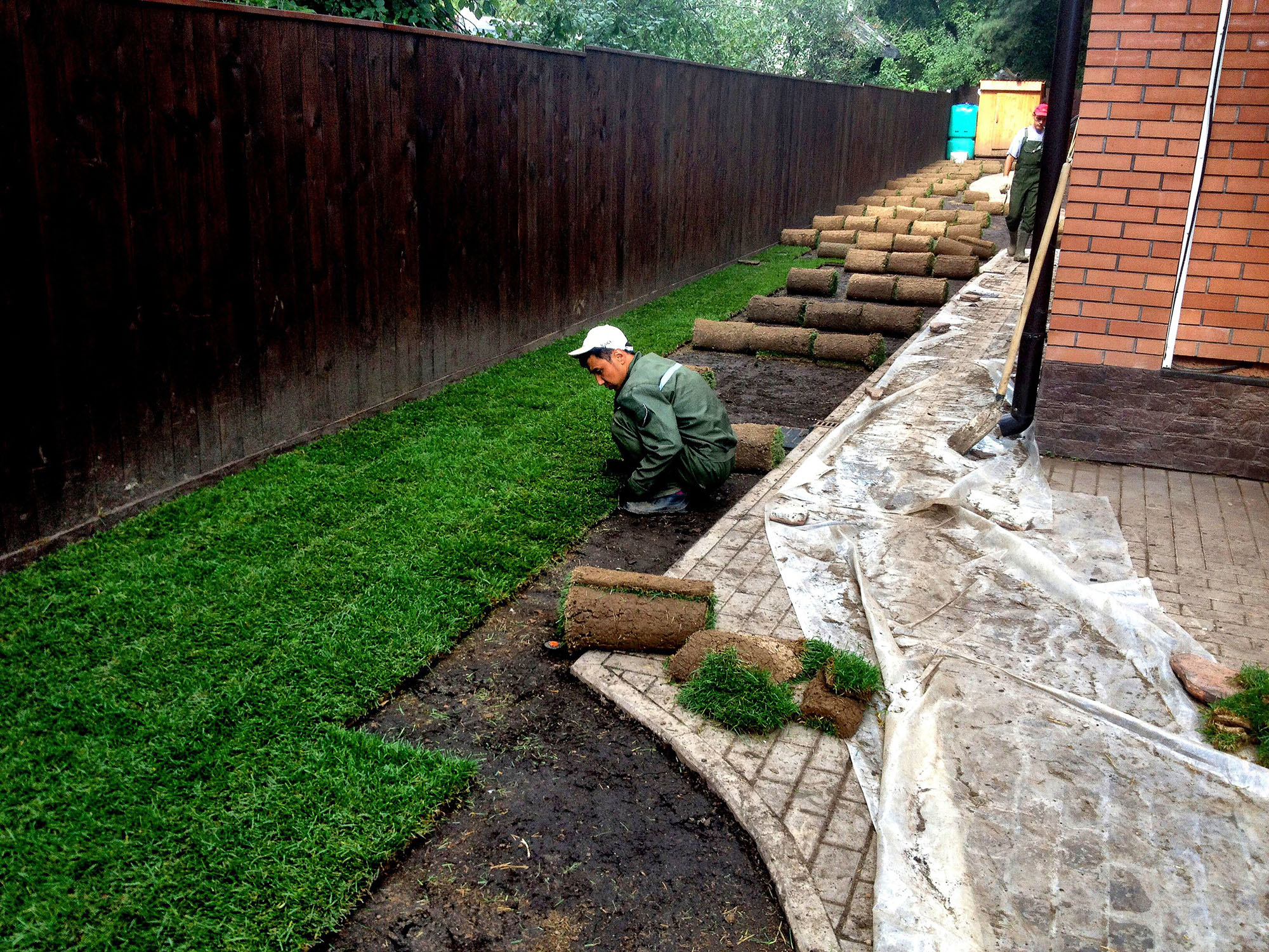 Газонная трава в рулонах – быстрый и надёжный способ украсить свой двор!