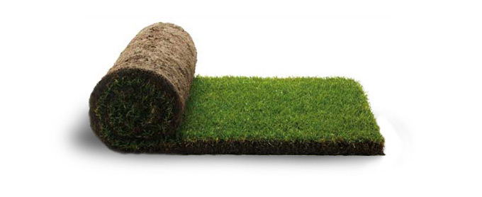 Укладка газонов: гарантийные обязательства GREEN ROLL