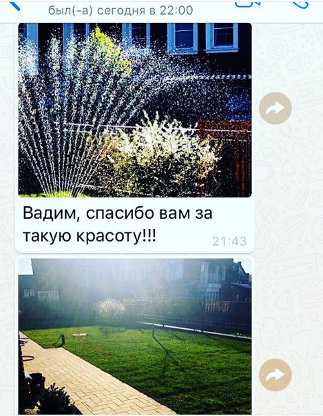 реакция клиента на укладку газона