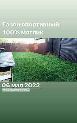 cостояние газона фото 5 cостояние газона фото 5