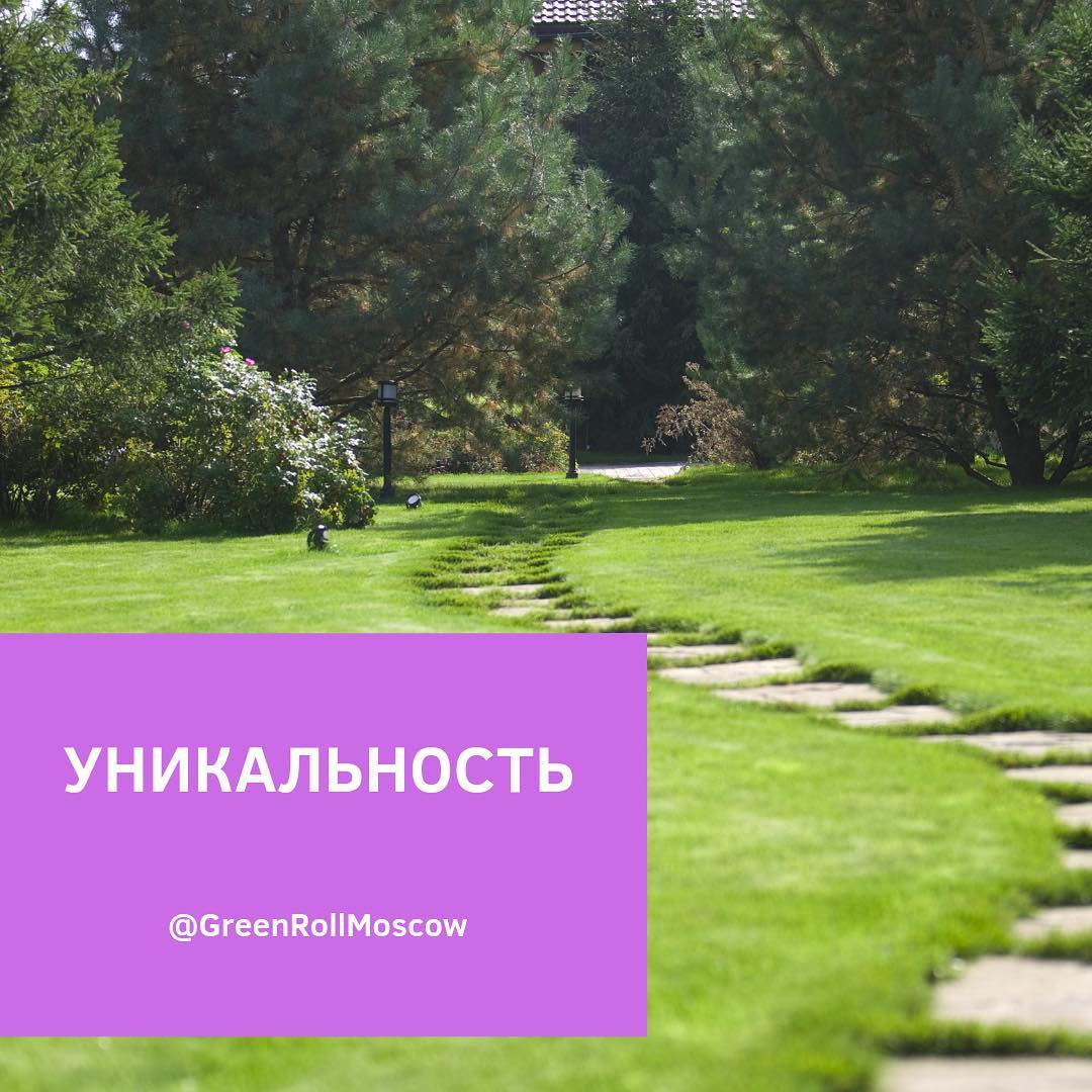 Уникальность, индивидуальный подход везде и во всем Уникальность, индивидуальный подход везде и во всем