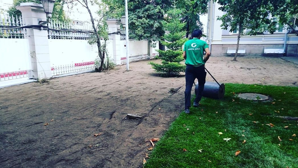 Работы по замене газона в Москве фото