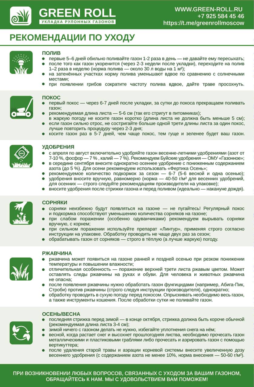 Обновили рекомендации по уходу за рулонным газоном фото