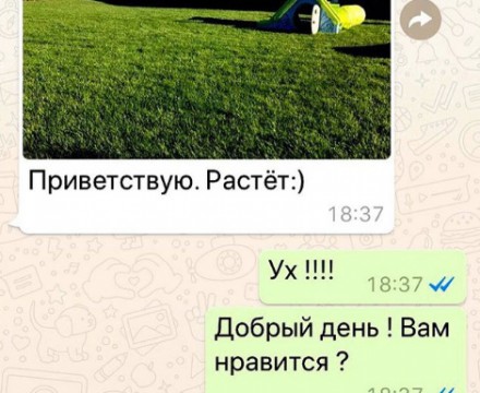 Отзыв клиента, довольного нашей укладкой газона