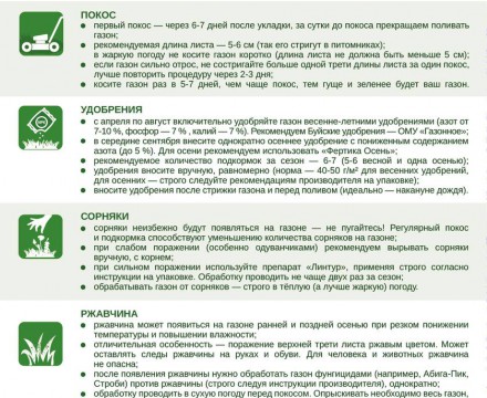 Обновили рекомендации по уходу за рулонным газоном