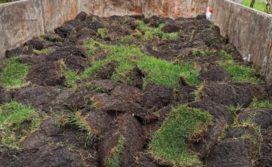 Замена старого газона на новый рулонный газон фото 10