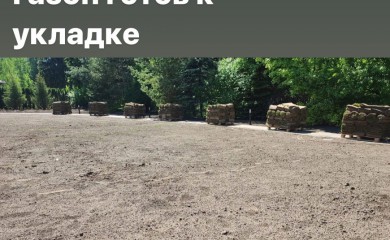 Замена газона в июне 2022 фото 2