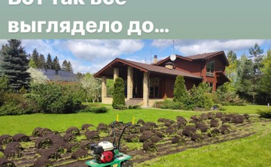 Замена газона в июне 2022 фото 1