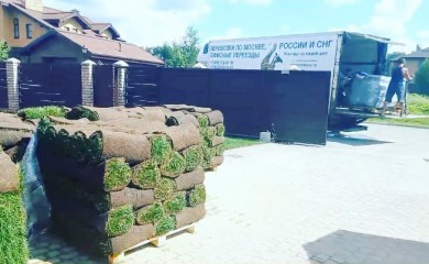 В каком состоянии приезжает рулонный газон для укладки? На что обратить внимание при приёмке? фото 1