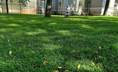 Замена газона на территории посольства Республики Индонезия в Москве фото 3