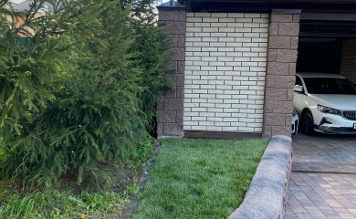 Укладка рулонного газона в 30 км.м фото 1