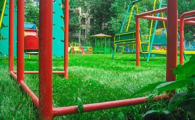 Какой газон выбрать для детской площадки? фото 2