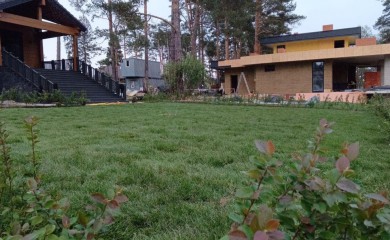 Укладка рулонного газона на склоне фото 5