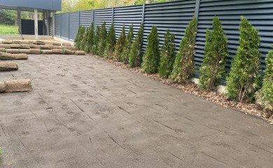 Укладка рулонного газона на майские праздники фото 8