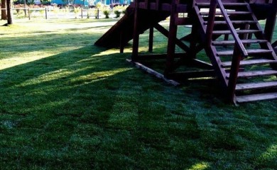 Укладка газона для детской площадки фото 1