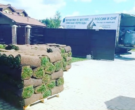 В каком состоянии приезжает рулонный газон для укладки? На что обратить внимание при приёмке?