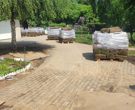 Фото рабочего процесса по укладке газона