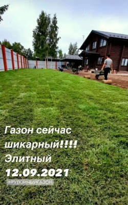 cостояние газона фото 9 cостояние газона фото 9