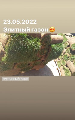 cостояние газона фото 4 cостояние газона фото 4
