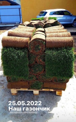 cостояние газона фото 3 cостояние газона фото 3