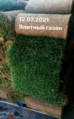cостояние газона фото 15 cостояние газона фото 15