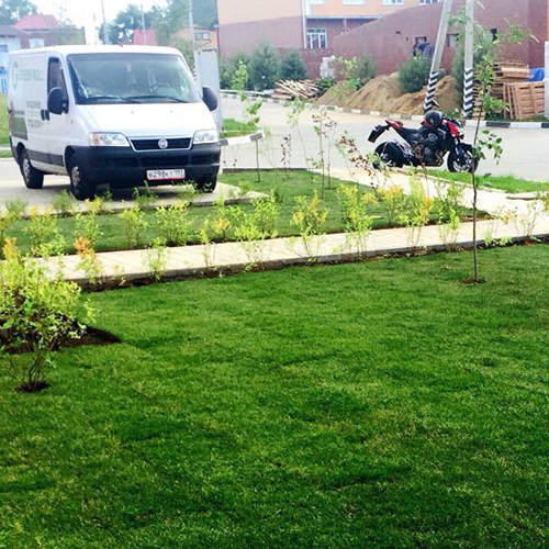 cтандартный газон фото cтандартный газон фото