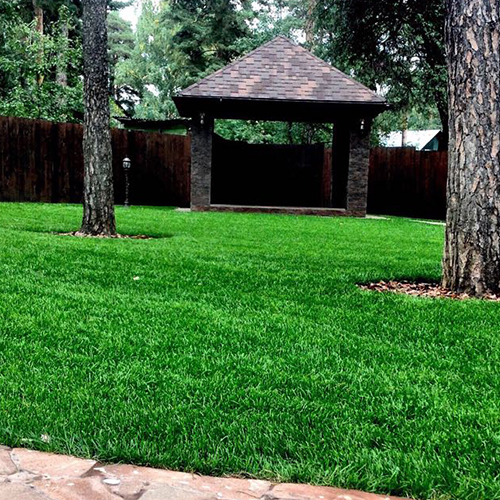 элитный газон фото элитный газон фото