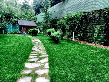 укладка газона от Green Roll фото 17