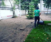 Работы по замене газона в Москве