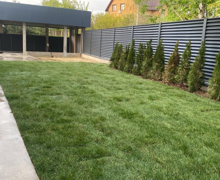 Укладка рулонного газона на майские праздники Укладка рулонного газона на майские праздники